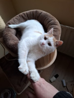 /album/26-02-2026/whatsapp-image-2026-02-26-at-17-53-53-1-jpeg/